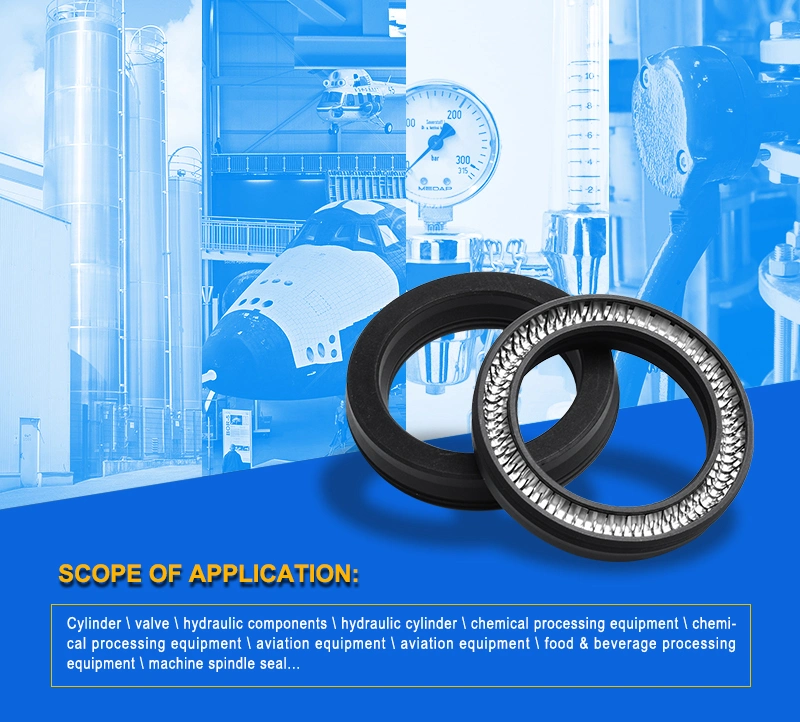High Quality PTFE Spring Energized Seals with Slanted Coil Spring