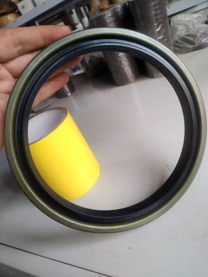 NBR+PTFE 소재 중국 보안 레이디얼 샤프트 고무 O 링 오일 씰/고무 가스켓/립 씰/오일 씰/가스켓