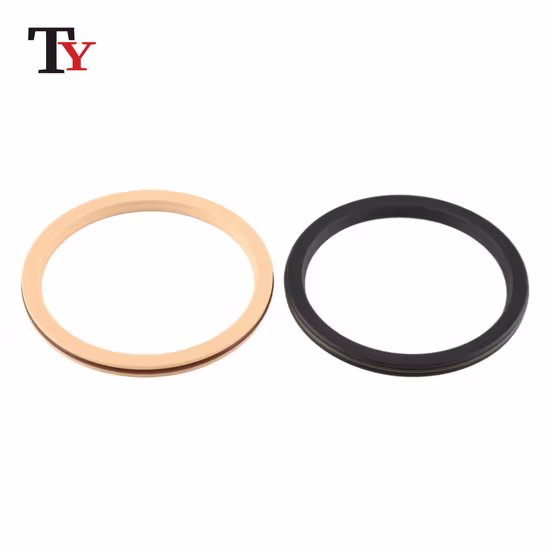 탄소/흑연 충전 PTFE+금속 스프링 씰