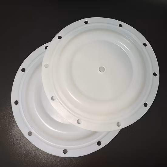 BSK 다이어프램 펌프 예비 부품 교체 수리 키트 PTFE 멤브레인